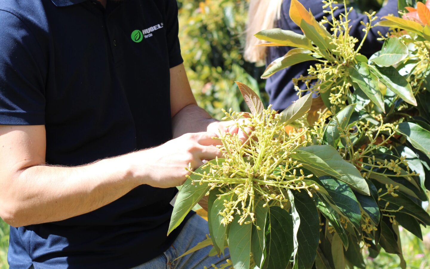 Ciência por si só não é suficiente para garantir uma agricultura de sucesso