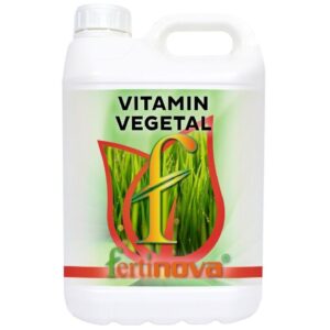 https://hubel.pt/wp-content/uploads/2024/08/VITAMIN-VEGETAL-300x300.jpg