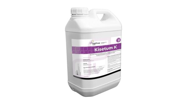 KISETUM K
