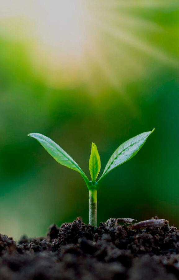 https://hubel.pt/wp-content/uploads/2025/05/PLANTA.jpg