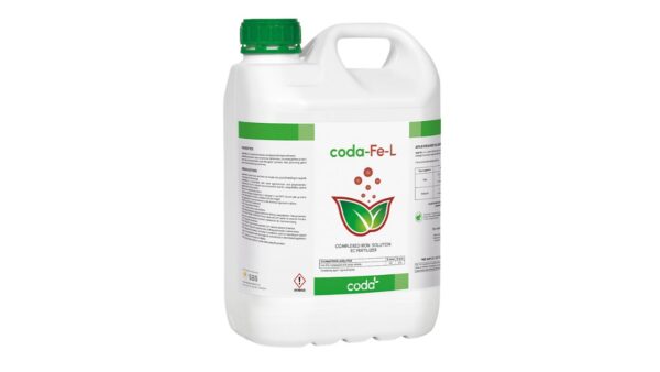 CODA-Fe-L