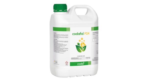 CODAFOL P54