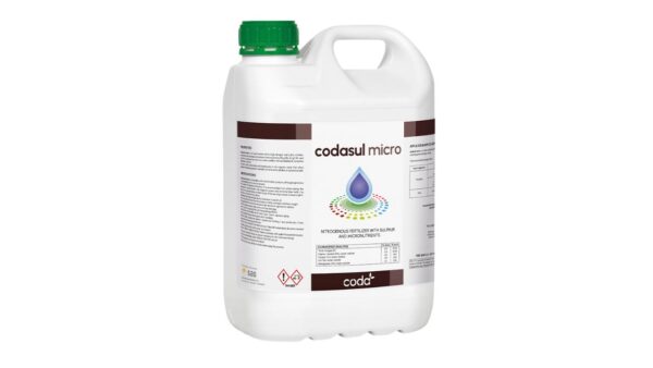 CODASUL MICRO