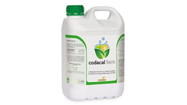 CODACAL BORO