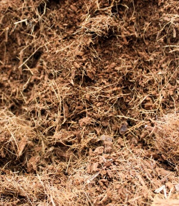 Fibra de Coco