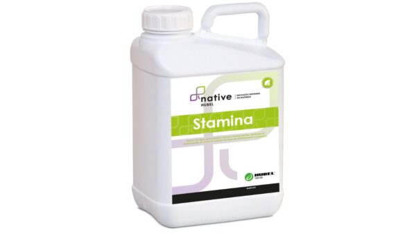 STAMINA