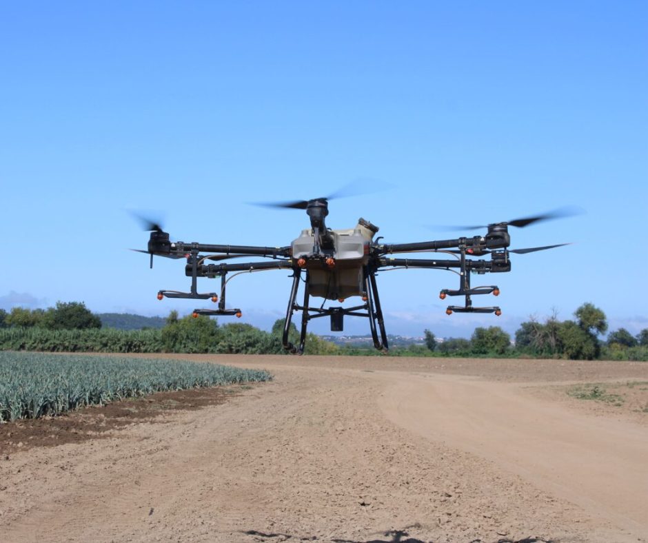 Drone