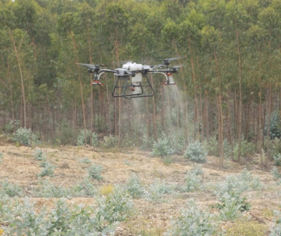 Drone