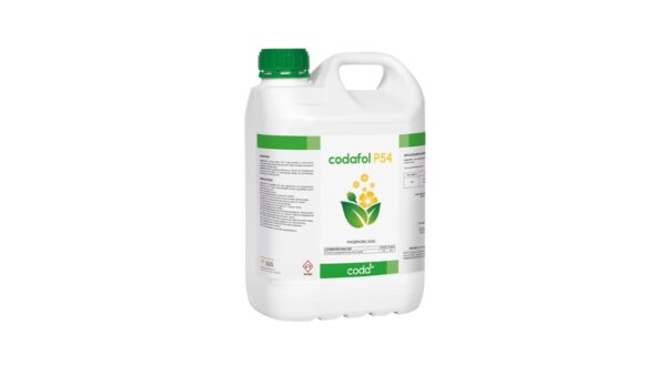 CODAFOL P54