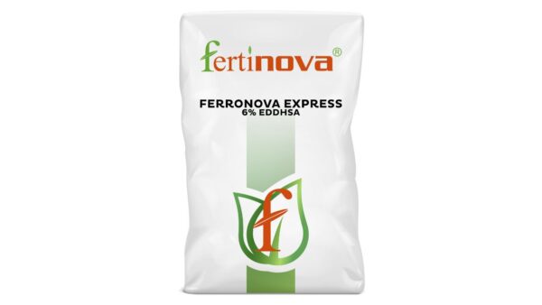 FERRONOVA EXPRESS 6FeEDDHSA