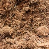 Fibra de coco hidratado - Image 2