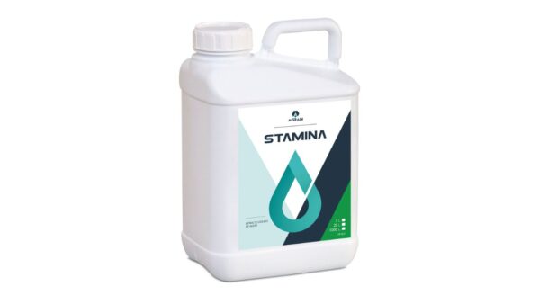 STAMINA