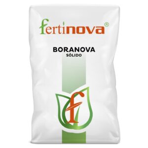 https://hubel.pt/wp-content/uploads/2025/07/boranova-solido-1-300x300.jpg