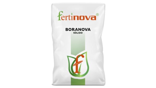 BORANOVA SÓLIDO