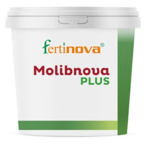 https://hubel.pt/wp-content/uploads/2025/07/molibnova-plus-1-300x300.jpg