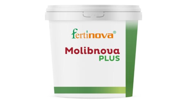 MOLIBNOVA PLUS