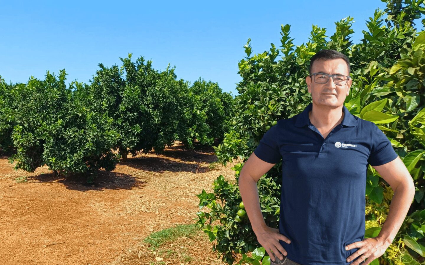 Citrinos em início de maturação | Recomendação Hubel Verde