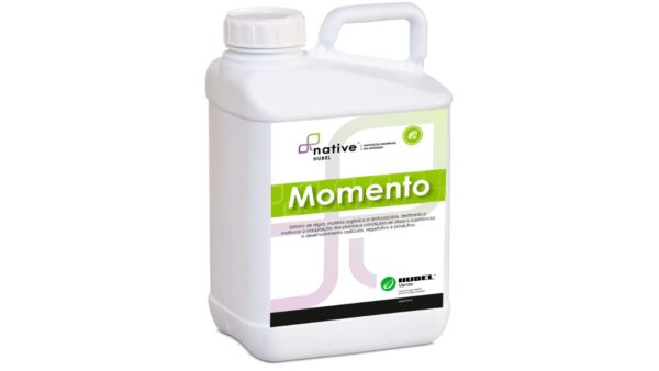 MOMENTO