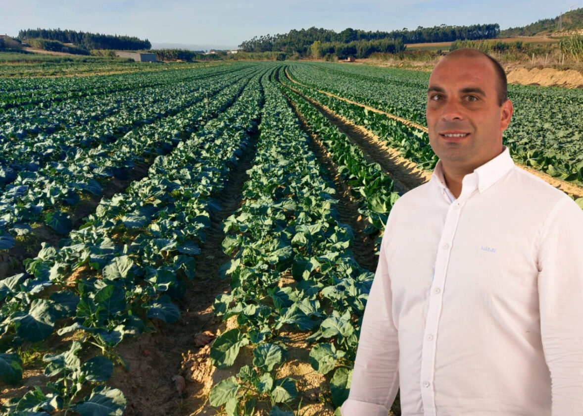 Couves com mais vigor e proteção | Recomendação Hubel Verde