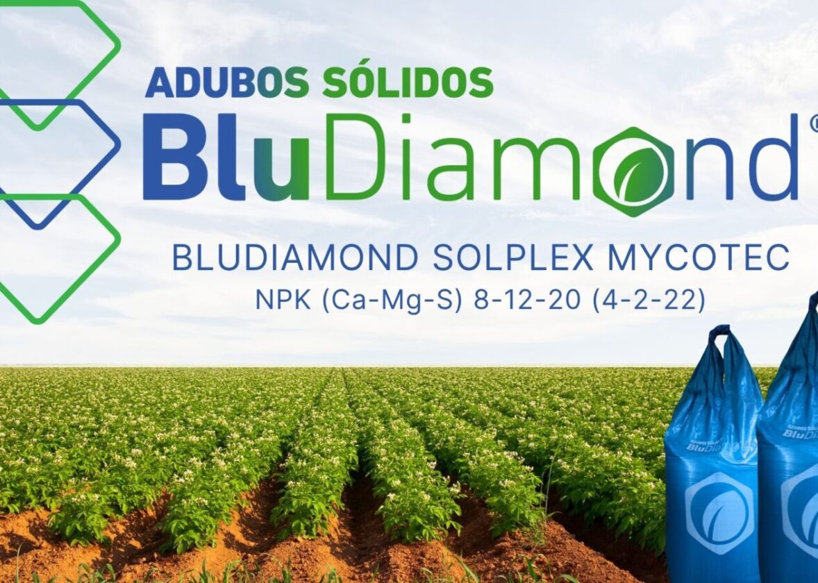 Protegido: Fertilização eficiente com micorrizas ativas | Hubel Verde