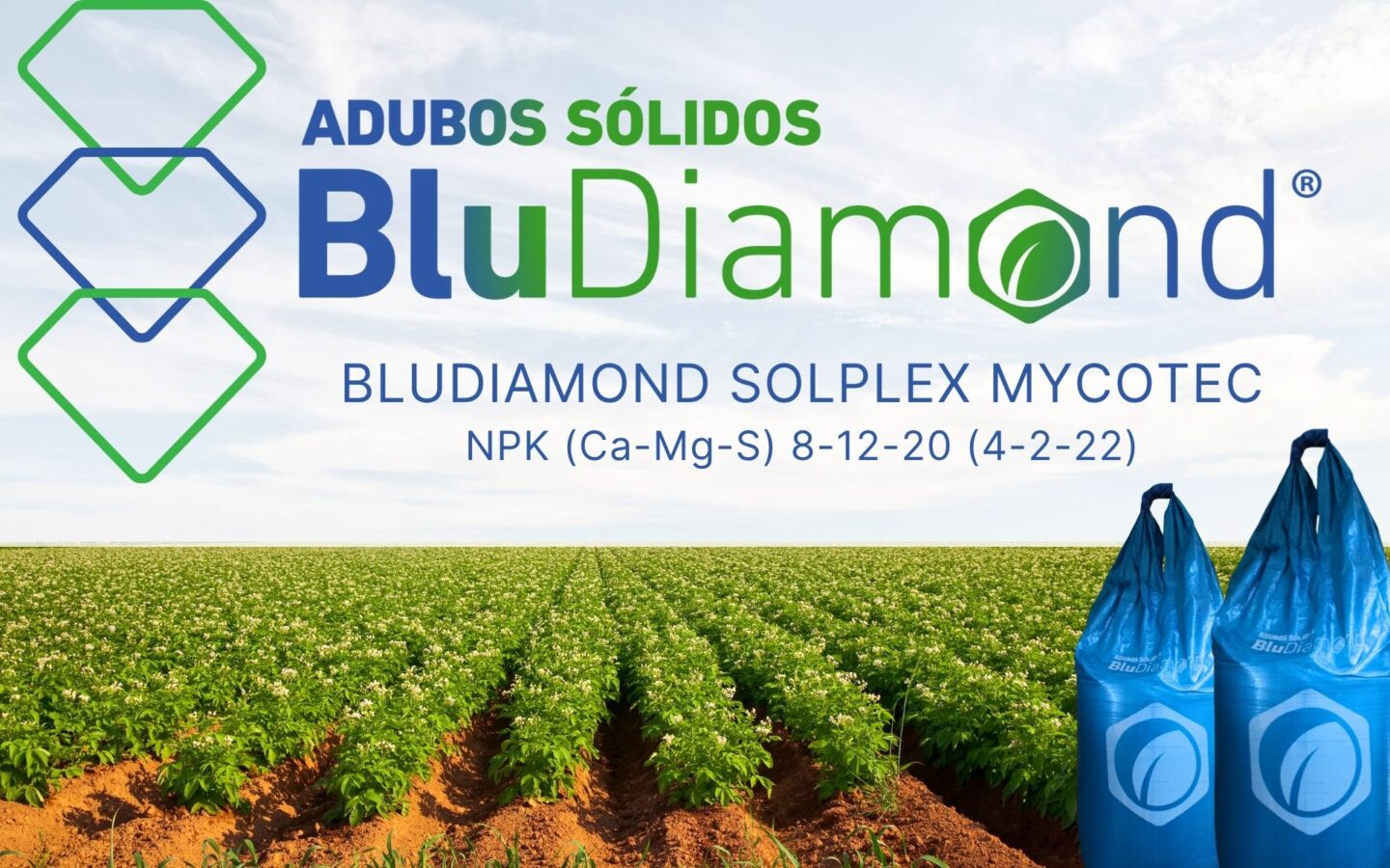 Fertilização eficiente com micorrizas ativas | Hubel Verde