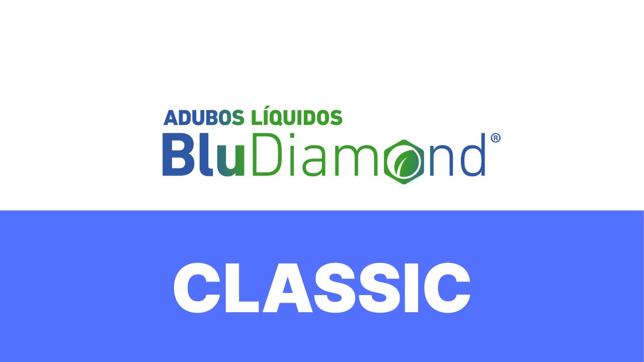 BLUDIAMOND CLASSIC