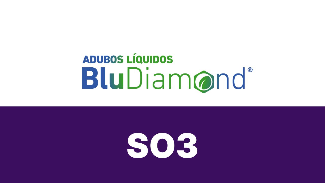 BLUDIAMOND SO3