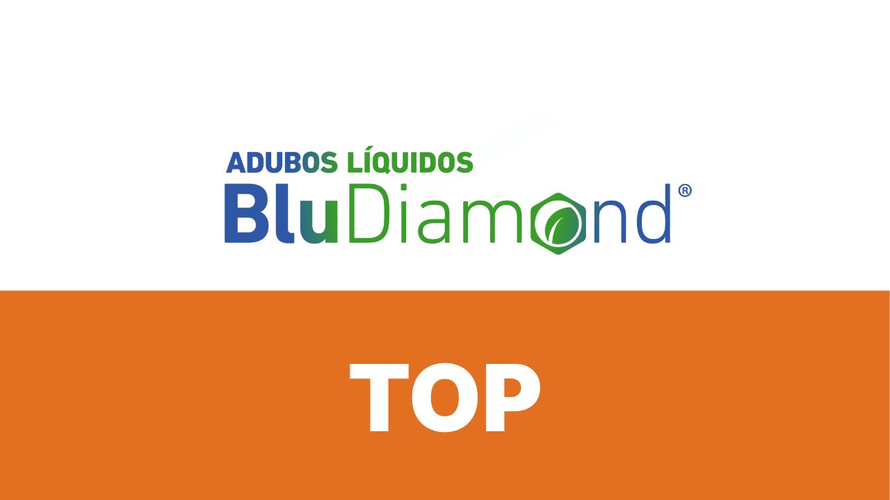 BLUDIAMOND TOP