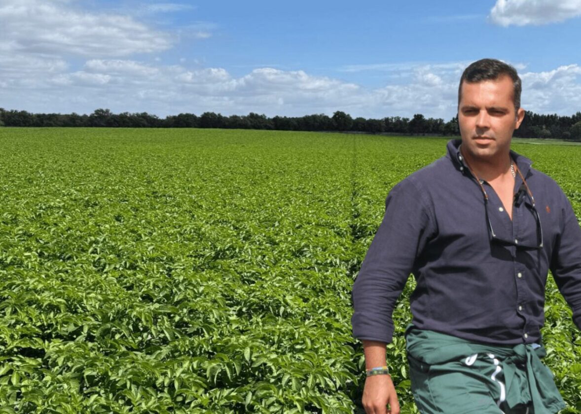 Batata: produtividade e eficiência desde o arranque | Recomendação Hubel Verde