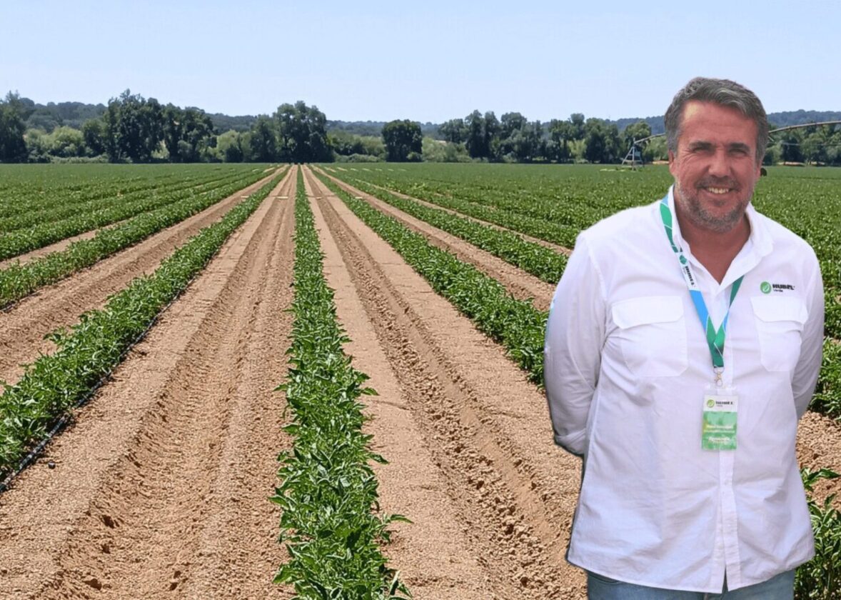 Microbioma do solo | Recomendação Hubel Verde