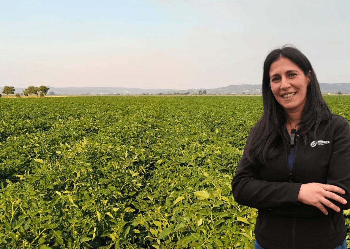 Estratégias de adubação à medida | Recomendação Hubel Verde