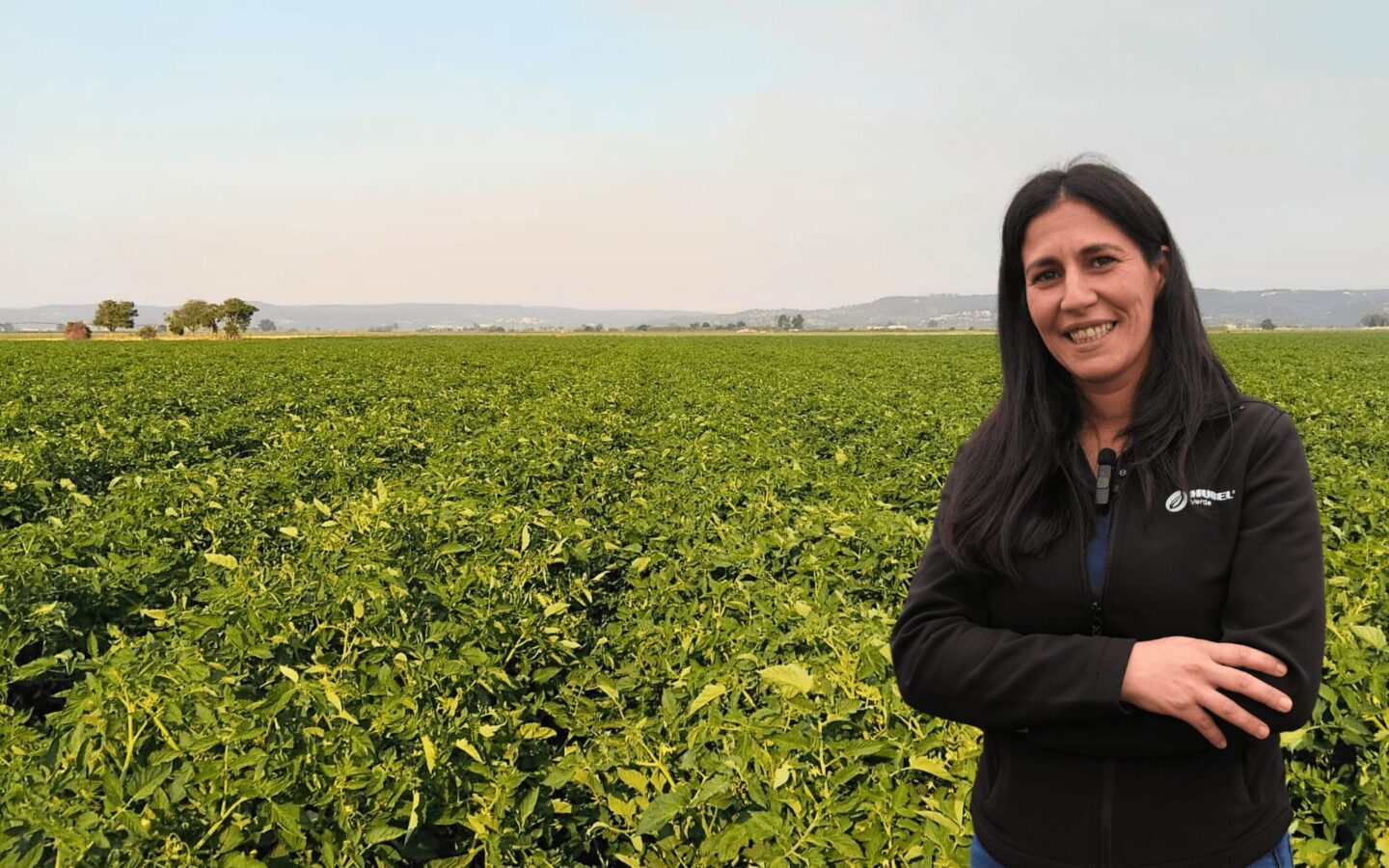 Estratégias de adubação à medida | Recomendação Hubel Verde