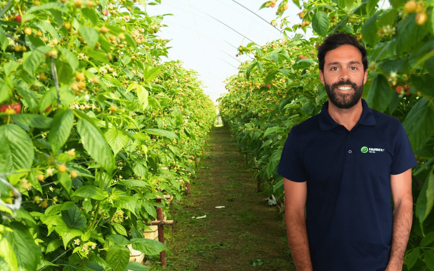 Extratos vegetais na proteção das culturas | Recomendação Hubel Verde