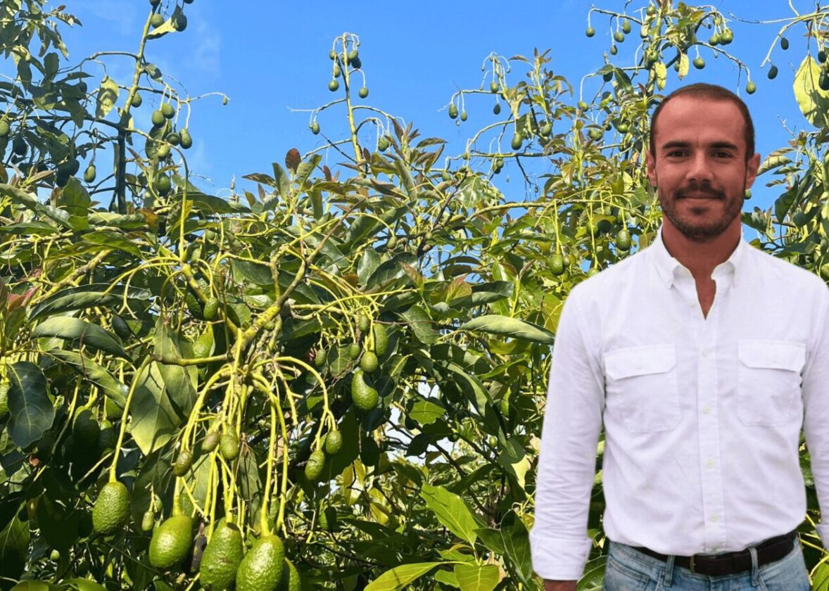 Calor, queda de frutos e escaldão | Recomendação Hubel Verde